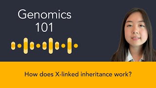 Nicole Chai How does Xlinked inheritance work [upl. by Ginsberg460]