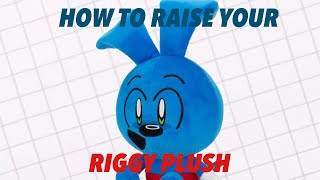 HOW TO RAISE YOUR RIGGY PLUSH [upl. by Hnacogn]