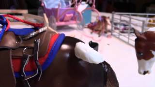 10 Breyer Horse Hacks [upl. by Ecidnac45]