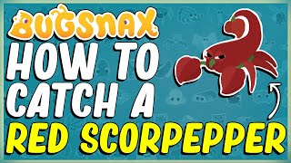 WHERE TO FIND AND HOW TO CATCH A RED SCORPEPPER IN BUGSNAX  SIZZLIN SANDS  BUGAPEDIA [upl. by Aninnaig69]