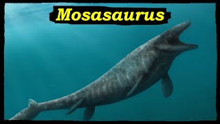 Mosasaurus the King of the Cretaceous Seas [upl. by Yrak]