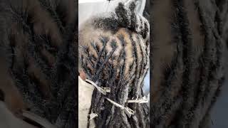 DREADLOCKS UPDO foryou dreadslocks trending locs hairworldstylesnsmiles770 [upl. by Harlen12]