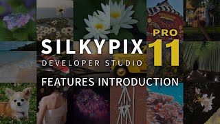 quotSILKYPIX Developer Studio Pro11quot promotion movie  FEATURES INTRODUCTION [upl. by Body407]