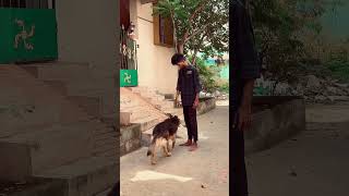 🐶Unai endrum maravenae🐾❤️‍🩹 shorts prankstersurya brucelee [upl. by Antsirhc]