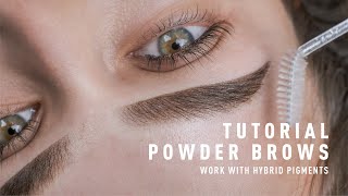 Powder Brows For Begginers [upl. by Petie]