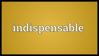 Indispensable Meaning [upl. by Ahsiekit]