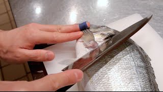 GRAPHIC  How to fillet a fish  Sea bream  Japanese technique  クロダイのさばき方 [upl. by Roi]