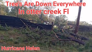 Otter Creek Fl Has Trees Down everywhere After Hurricane Helene Just Sad [upl. by Amsaj]