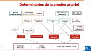 FISIOPATOLOGÍA  Semana 7  Hipertensión Arterial [upl. by Letch]