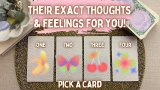 Pick A Card🐚Their Exact Thoughts amp Feelings For You Right Now🕊️In Depth Love Timeless Tarot [upl. by Mellar]