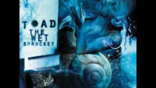 Toad the Wet Sprocket  Crazy Life [upl. by Aislehc217]