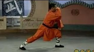 Shaolin Kung Fu Combat Styles 5 7star form 七星拳 qixing quan [upl. by Rech]