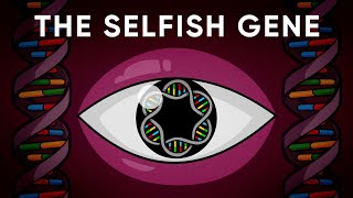 What Is The Genes Eye View of Evolution Stated Clearly [upl. by Adile]