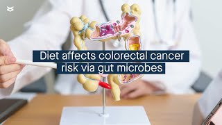 Diet drives colorectal cancer risk through its effects on gut microbes [upl. by Anilas431]