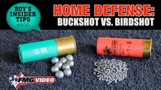 Home Defense Buckshot vs Birdshot [upl. by Giacomo]