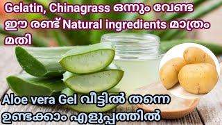 Aloe Vera Gel  കറ്റാർവാഴ ജൽ വീട്ടിൽ ഉണ്ടാക്കാം  How to make Aloe Vera Gel at home [upl. by Icats]