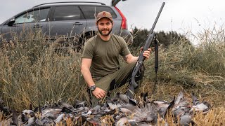 Decoying pigeons with the Browning Maxus II [upl. by Wadleigh905]