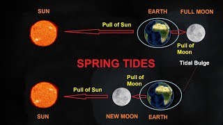 What Causes Tides [upl. by Fredela]