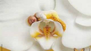 Anne Geddes [upl. by Conti]