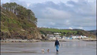 Amroth to Saundersfoot on the Pembrokeshire Coast in Wales  March 2024 [upl. by Nilkcaj120]