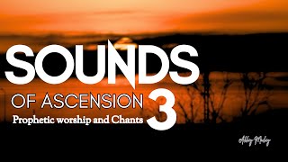 Sounds of ascension  Elohim Adonai  Deep soaking worship  More than a song [upl. by Htir520]