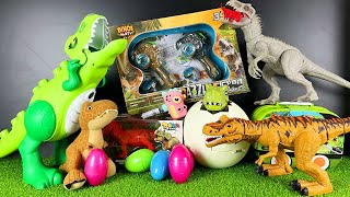 Jurassic World Unboxing Review Asmr Giant Green T Rex Indominus Rex Dinosaur Eggs Hatching [upl. by Ahsikal141]