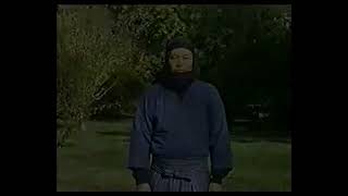 125TOGAKURE RYU TAIJUTSU  UKEMI KATA  SHINOBI GAESHI KATA ushiro nagare manaka [upl. by Johns]