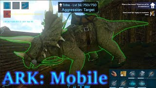 TRIKE TAMING ADVENTURE SURVIVING A WHOLE EPISODE ArkMobile Episode 6 [upl. by Nydnarb]