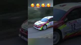 Rallye du Pays des Maures 2023 206 s1600 Big Attack Pure Sound [upl. by Sterne]