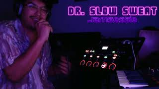 Dr Slow Sweat  Vakantie Jamsessie  Loopstation Gitaar Synth en MEER [upl. by Ilatfen]