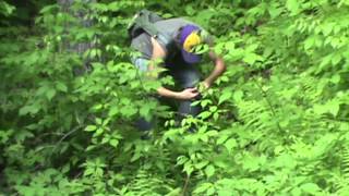 Trout Fishing PA 2012 6 Hammersley Wildlife Area [upl. by Guido]