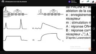 Physiologie Organe de Conduction partie1 quotmoelle épinièrequot  2éme Med [upl. by Polish]