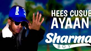 SHARMA BOY HEES CUSUB AYAAN OFFICIAL MUSIC [upl. by Enyawd]