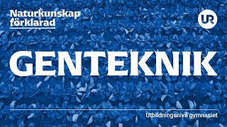 Genteknik förklarad  BIOLOGI  Gymnasienivå [upl. by Dreher533]