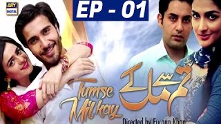 Tumse Mil Kay Episode 01  ARY Digital Drama [upl. by Ellivnarg]