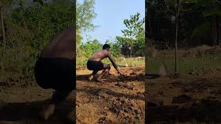 Vivekgautamv11 sortvideo motivation fitnessinspiration viralatas fitness home [upl. by Cyn]