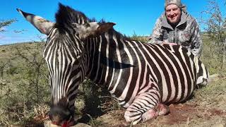 Hunting Gemsbok Impala Zebra amp White Blesbok [upl. by Harcourt]