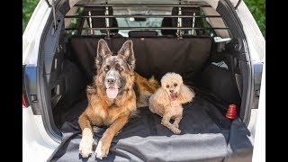 Traveling by car with your dog how to make it easier and safer with a dog car barrier [upl. by Netsruk]