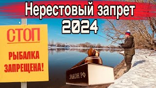 НЕРЕСТОВЫЙ ЗАПРЕТ 2024 На что ловить можно Рыбалка на спиннинг под запретом [upl. by O'Malley25]