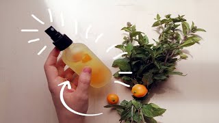 Making an EASY Summer Face Spray Perfect for HOT Weather [upl. by Cecily]