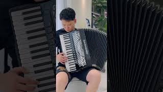 Mantovanelli Accordion 120bass KING Cassotto IV [upl. by Oicatsana257]