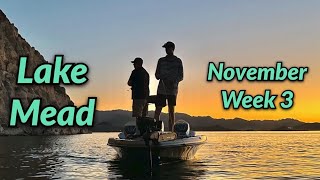 Lake Mead Fishing Report • November Week 3 [upl. by Elyrehc338]