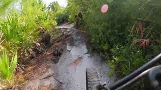 Wickham Park Melbourne Florida  Mountain Bike MTB  South Loop  2 miles [upl. by Ardle]