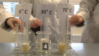 Effect of temperature catalase action [upl. by Nadab]