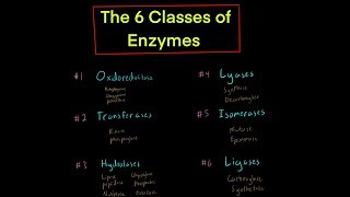 The 6 Classes of Enzymes w Mechanisms oxidoreductase transferase hydrolase lyase isomerase ligase [upl. by Creedon]