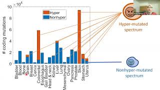 28Jun2024 Population Genetics [upl. by Aretak123]