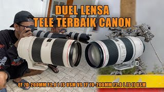 Duel Lensa Tele Terbaik dari Canon EF 70200MM F28 L IS II USM [upl. by Brasca905]