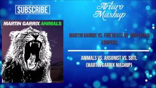 Animals vs Arsonist vs SBTL Martin Garrix UMF 2017 Mashup [upl. by Innig633]