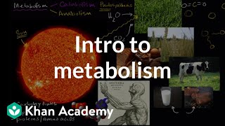 Introduction to metabolism anabolism and catabolism  Khan Academy [upl. by Shanna]