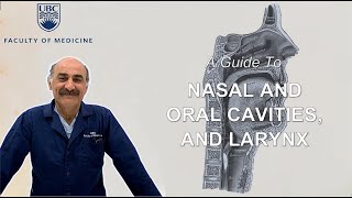 A Guide to Larynx Nasal and Oral Cavities [upl. by Raji]